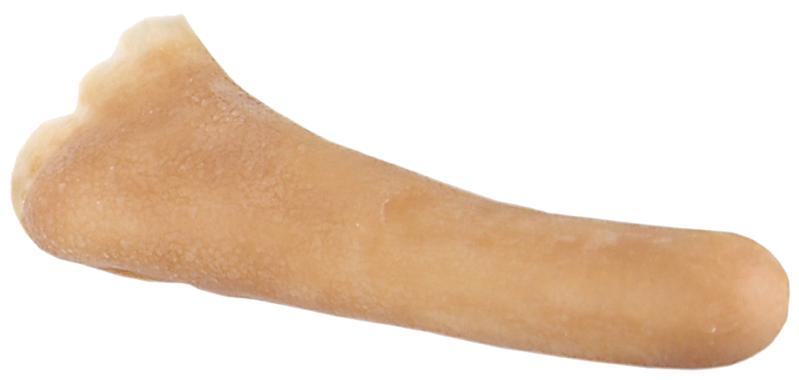 Grimas Grimas Latex Pinokkio Neus