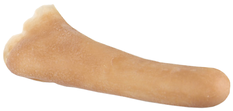 Grimas Grimas Latex Pinokkio Neus