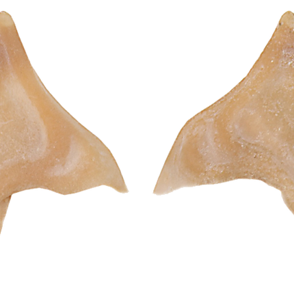 Grimas Grimas Latex Puntige Oren