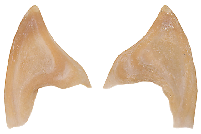 Grimas Grimas Latex Puntige Oren