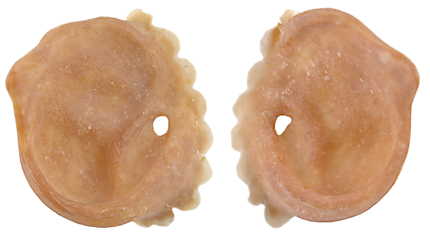 Grimas Grimas Latex Varkens Oren