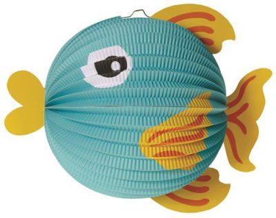 HAZA Witbaard Bollampion Vis