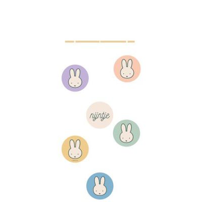 HAZA Witbaard Hangdeco Nijntje