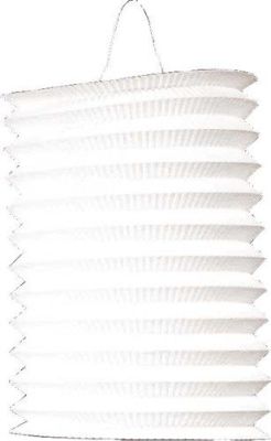 HAZA Witbaard Treklampion Wit