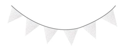 HAZA Witbaard Vlaggenlijn Glitter Zilver