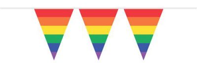 HAZA Witbaard Vlaggenlijn PE Vlag Regenboog