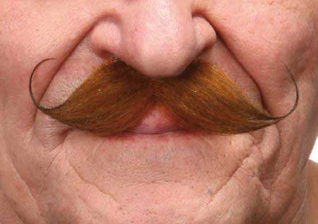 Partychimp Luxe Plaksnor Krul Rood