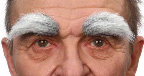 Partychimp Luxe Volle Wenkbrauwen Grijs