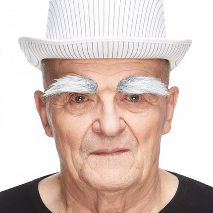 Partychimp Luxe Volle Wenkbrauwen Grijs