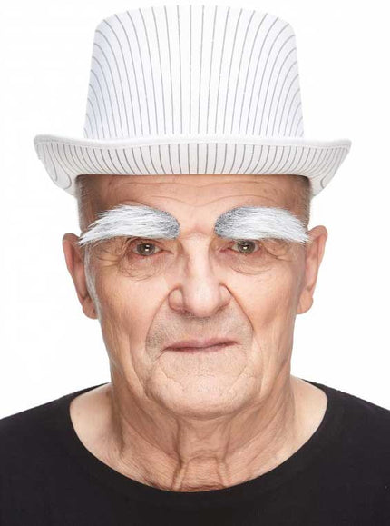 Partychimp Luxe Volle Wenkbrauwen Grijs