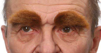 Partychimp Luxe Volle Wenkbrauwen Kastanjebruin