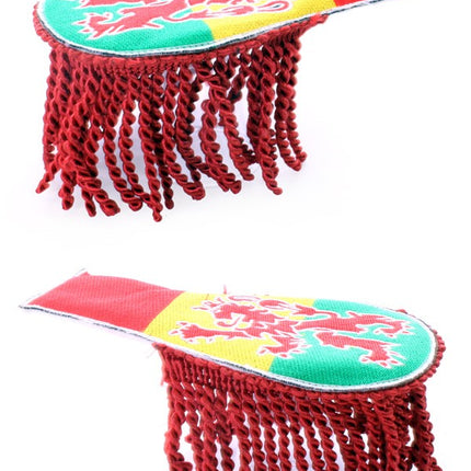 PartyXplosion Epaulette carnaval limburg met leeuw