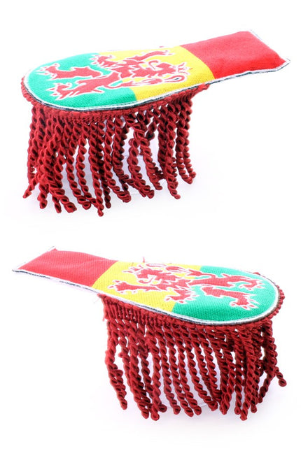 PartyXplosion Epaulette carnaval limburg met leeuw