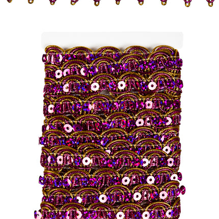 PartyXplosion Galon pailletten paars met gouddraad