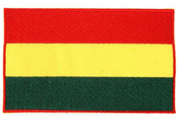 PartyXplosion Strijkapplicatie vlag Limburg rood geel groen 12 x 7 cm