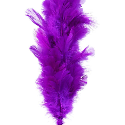 PartyXplosion Verenpluim Paars – 22 cm