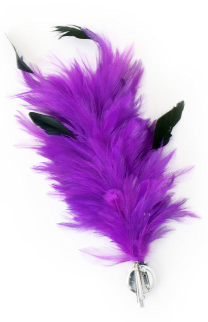 PartyXplosion Verenpluim Paars 30 cm