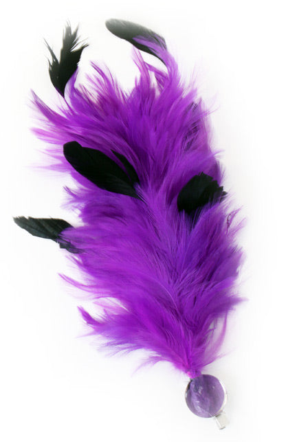 PartyXplosion Verenpluim Paars 30 cm