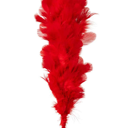 PartyXplosion Verenpluim Rood – 22 cm