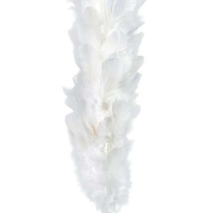PartyXplosion Verenpluim Wit – 22 cm