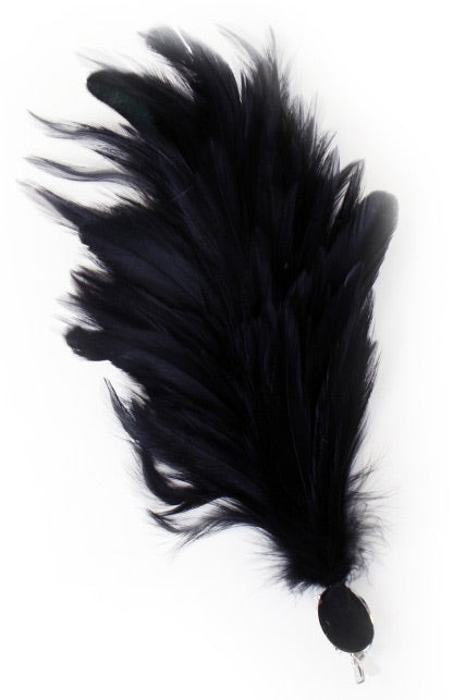 PartyXplosion Verenpluim Zwart 30 cm