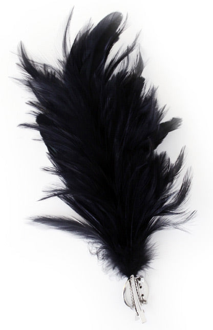 PartyXplosion Verenpluim Zwart 30 cm