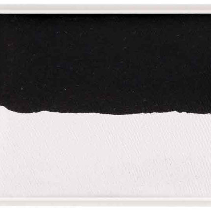 PXP Professional Colours PXP Big Splitcake schmink Yin Yang