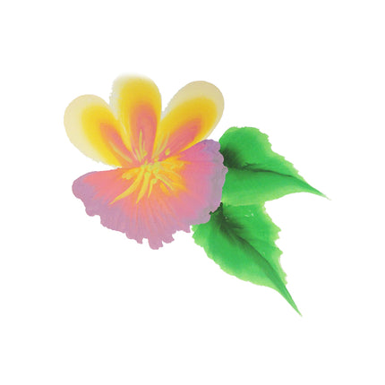 PXP Professional Colours PXP Kortharige Splitcake penseel maat 18