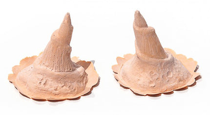 PXP Professional Colours PXP Latex gedraaide hoorn groot