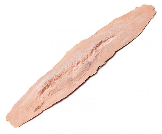 PXP Professional Colours PXP Latex lange wond