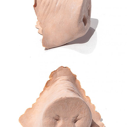 PXP Professional Colours PXP Latex varkensneus