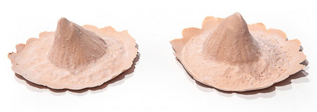 PXP Professional Colours PXP Latex vlakke hoorns