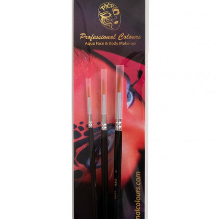 PXP Professional Colours PXP Penselenset kunsthaar 2-4-6