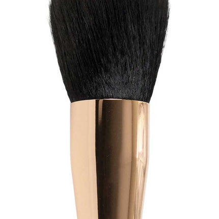 PXP Professional Colours PXP Powder Brush