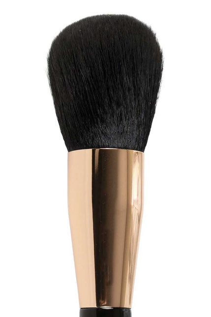 PXP Professional Colours PXP Powder Brush