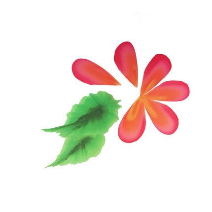 PXP Professional Colours PXP Splitcake penseel maat 18