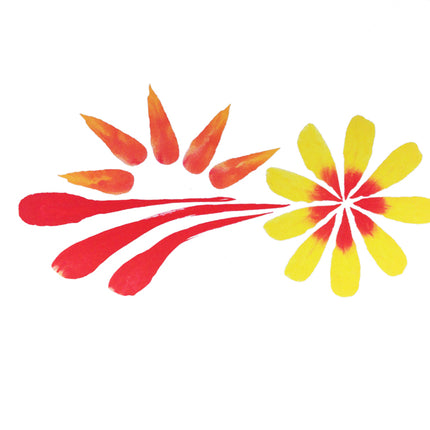 PXP Professional Colours Tijger schminkpenseel