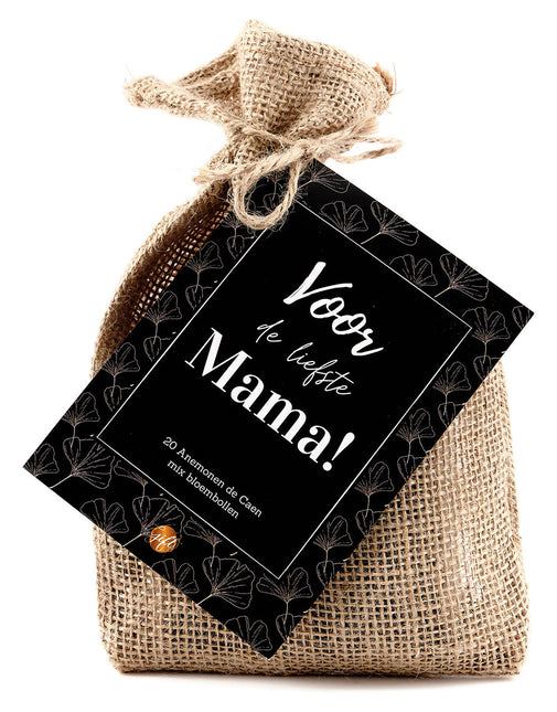 The Big Gifts Bloembollen mama