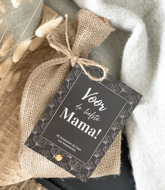 The Big Gifts Bloembollen mama