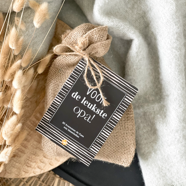 The Big Gifts Bloembollen opa