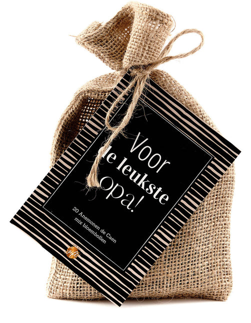 The Big Gifts Bloembollen opa