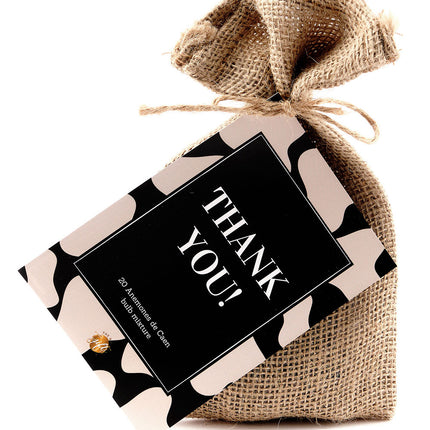 The Big Gifts Bloembollen thank you