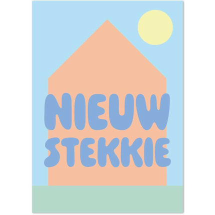 The Card Company Ansichtkaart Nieuw Stekkie