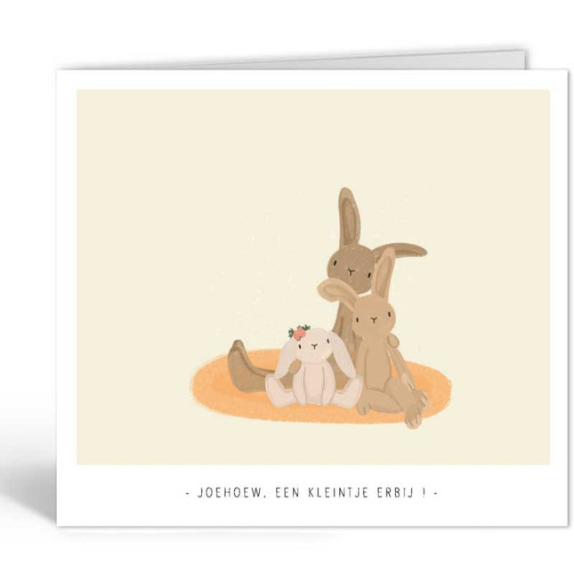 The Card Company Wenskaart Joehoew Een Kleintje Erbij