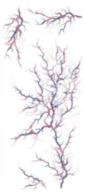 Tinsley Transfers Bezeten Aderen Trauma FX Tattoos