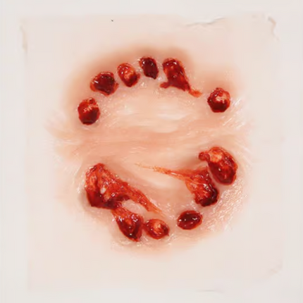 Tinsley Transfers Big Bite Tinsley 3D FX Transfers