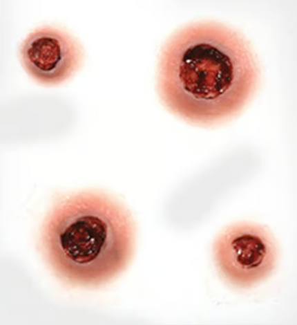 Tinsley Transfers Capped Tinsley 3D FX Transfers