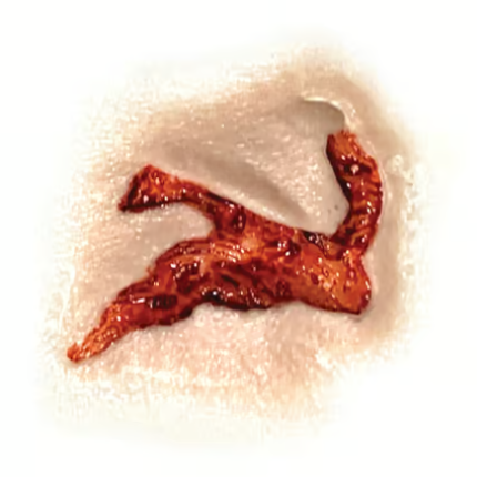 Tinsley Transfers Head Wound Tinsley 3D FX Transfers