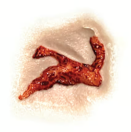 Tinsley Transfers Head Wound Tinsley 3D FX Transfers