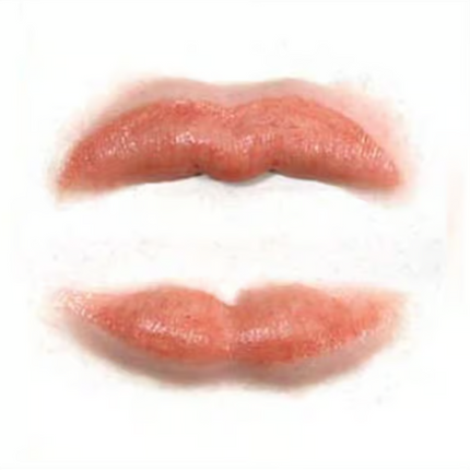 Tinsley Transfers Lip/Tuck Tinsley 3D FX Transfers
